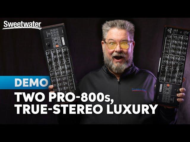 Total Stereo Immersion: Dual Behringer Pro-800 Synths for 3D Analog Soundscapes