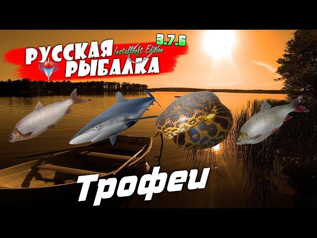 Русская Рыбалка Installsoft Edition 3.7.6 Трофеи #26