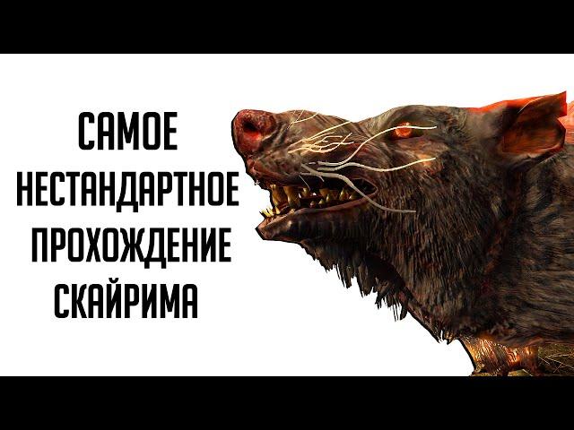 Skyrim - Самое НЕСТАНДАРТНОЕ, прохождение Скайрима на 1-ом уровне! #31 Неправильные злокрысы