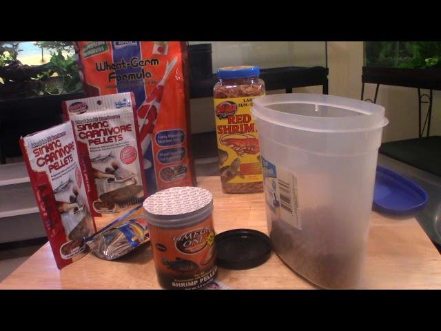 What To Feed Your Mud & Musk Turtles