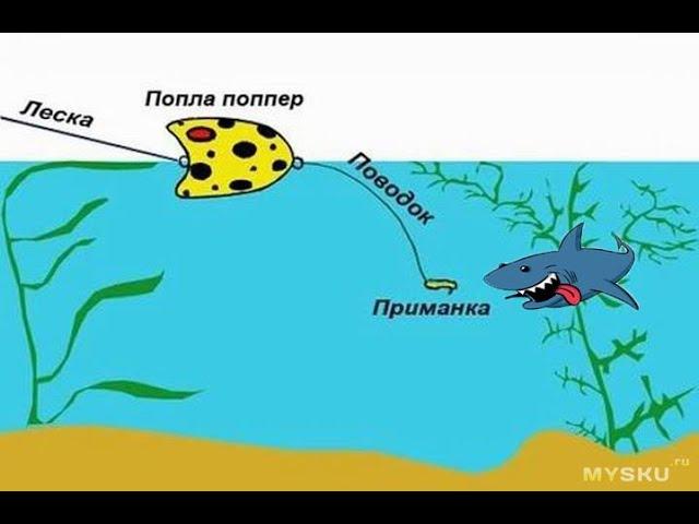 УБОЙНАЯ СНАСТЬ ПОПЛА-ПОППЕР. НАТАСКАЛ 9 КИЛО ПЛОТВЫ ЗА 50 МИНУТ. Скоро будет вкусная вяленая рыба!