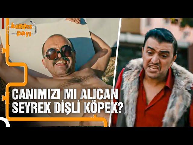 Parasının Peşindeki Büyük Hilmi vs. Cinnah Reis | Kardeş Payı Büyük Hilmi Sahneleri