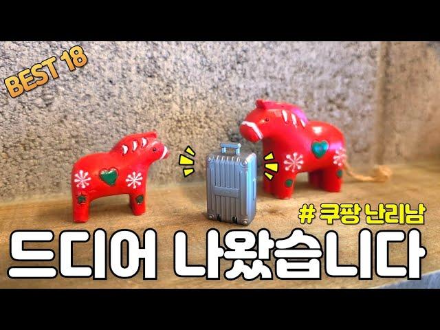 쿠팡에 드디어 나왔습니다! 쿠팡에서 너무 잘 나가는 살림 꿀템 18가지 몰아보기 | 품절 대란 후 드디어 재입고 되었습니다 | 내돈내산 | 삶의 질 수식상승템