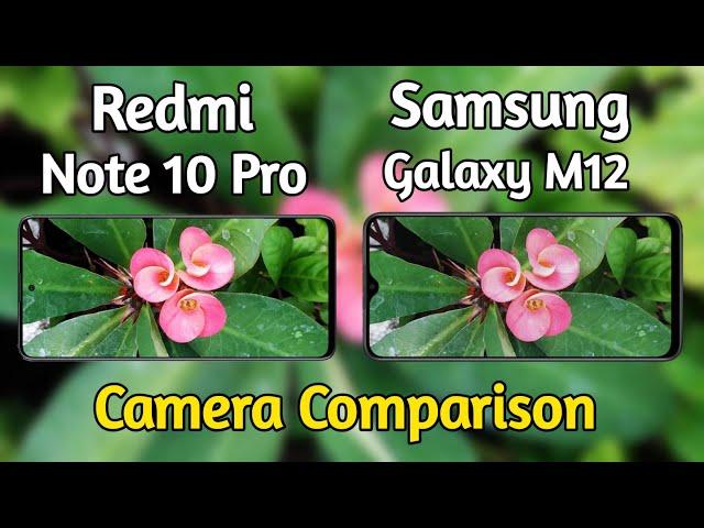 Redmi Note 10 VS Samsung Galaxy M12 Camera Comparison