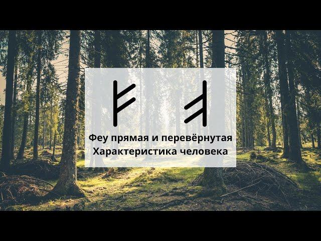 Руна Феху. Характеристика человека. Новые грани рун