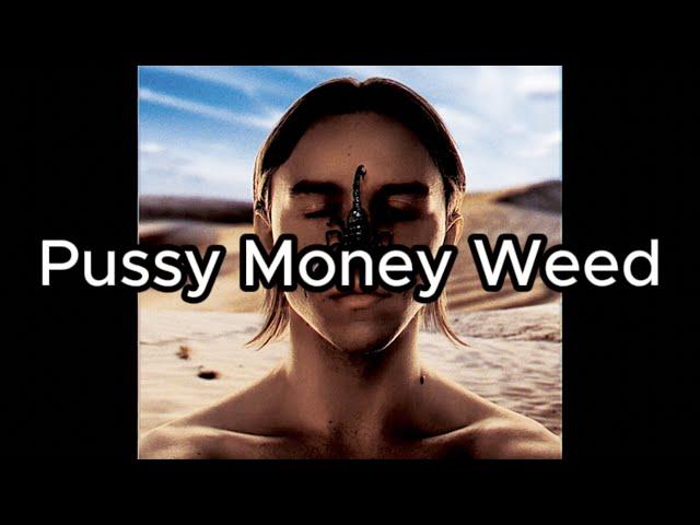 Tommy Cash - Pussy Money Weed (Lyrics)