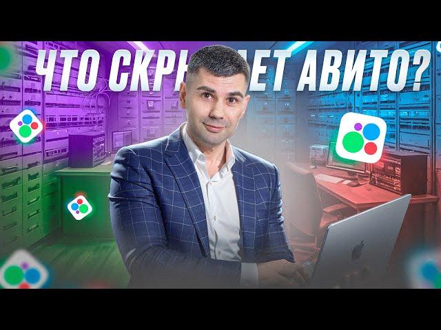 Почему Авито скрывает статистику в нише спецтехники?