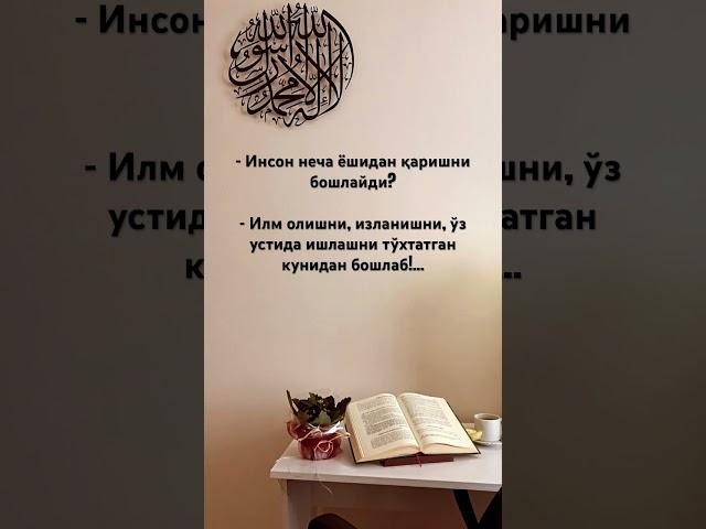 обуна болинг #art #music #love #song #artist #quotes #rek #cats #dosa #uzbekistantourism