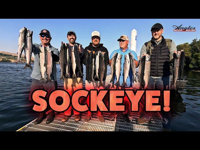Columbia River Brewster Pool Sockeye Fishing (2024)
