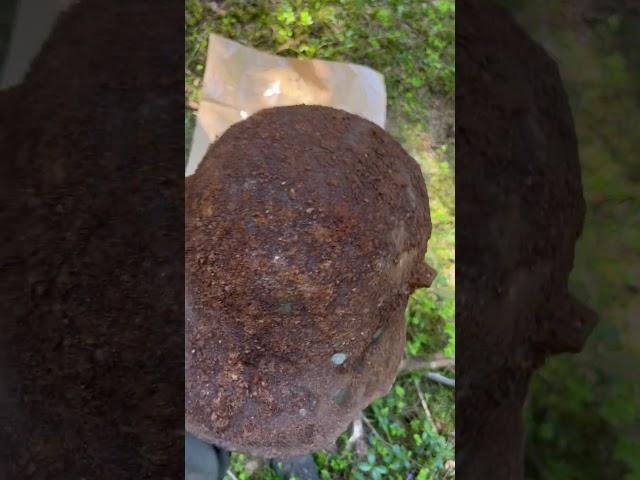 German WW1 M16 helmet.. #WW1 #German #history #metaldetecting #latvia