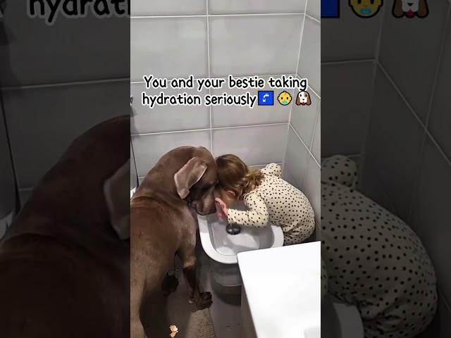 Water Time = Play Time for This Goofy Pup!  #dog #fouryoupage #funny #fypシ #pets #usaus #foryou