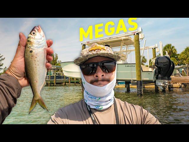I Almost Lost Everything... Tarpon and Snook Fishing