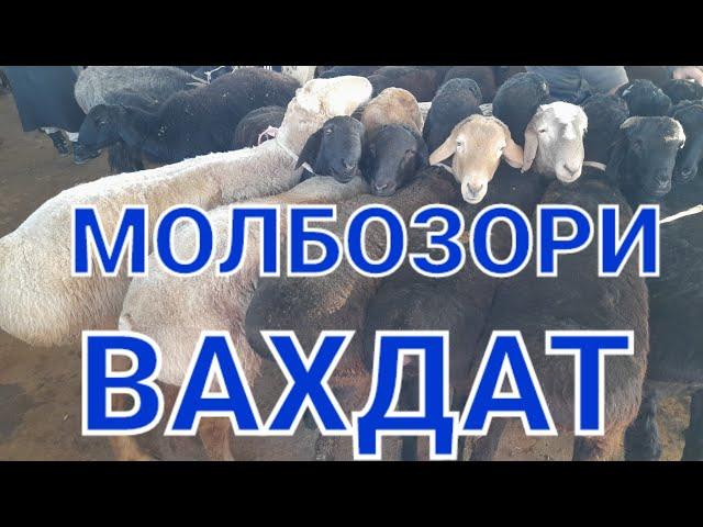 ВАХДАТ МОЛБОЗОР ГУСФАНДХОИ СОЛК СИРКА БУЗ ГУСОЛАХОИ БЕ ОЧА