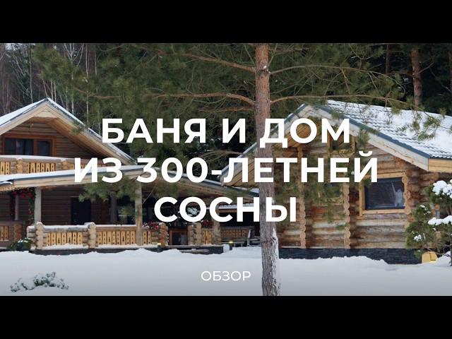 Дом из сосны, которой 300 лет: сколько стоит дом из сухостоя и что такое сосна «Кело» / Sewera