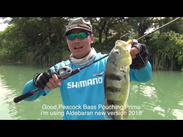 2016 Shimano  Aldebaran BFS Field Test Part 2