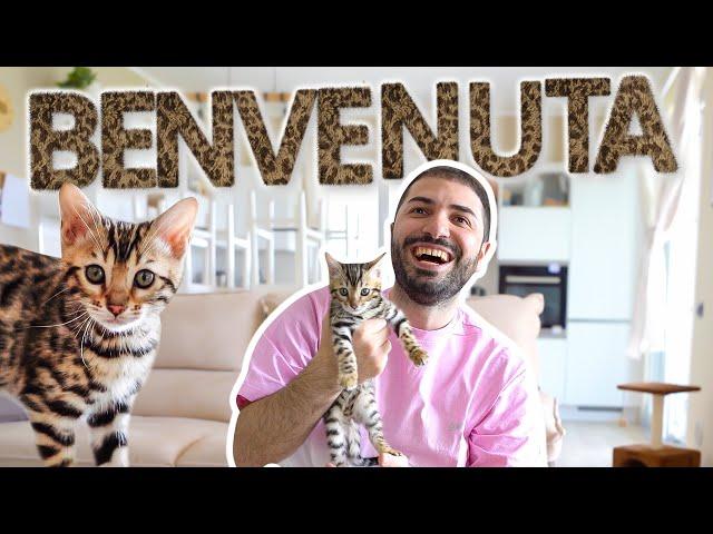 NUOVO ARRIVO IN FAMIGLIA!  (Sorpresa a Mirko)