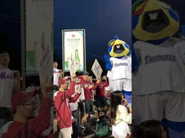 Boomer for President! #boomerforthepeople #trentonthunder #boomer #president #baseball #milb