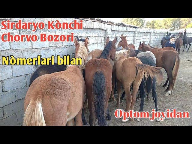 Sirdaryo Kònchi Otlar optim joyidan nòmerlari bilan