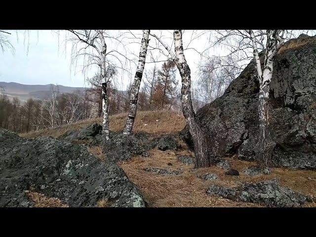 Лучше гор могут быть только горы!  с. Боград, Хакасия, 20.03.2022г