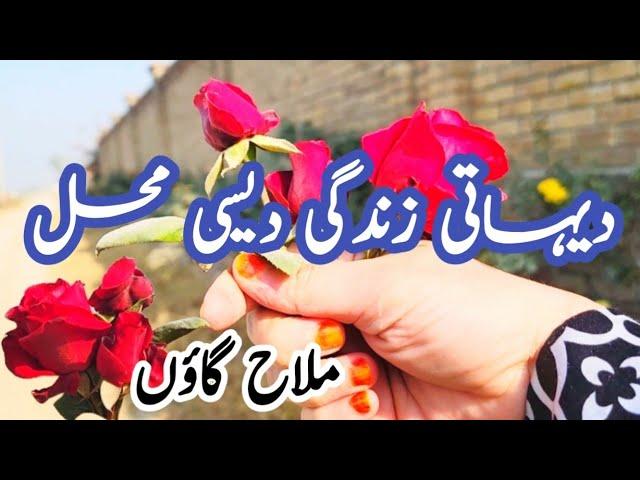 Mallah village vlog 31 dec 2024 | #Mallah village panjab #attock #Pakistan vlog #zarikafoodsecrets