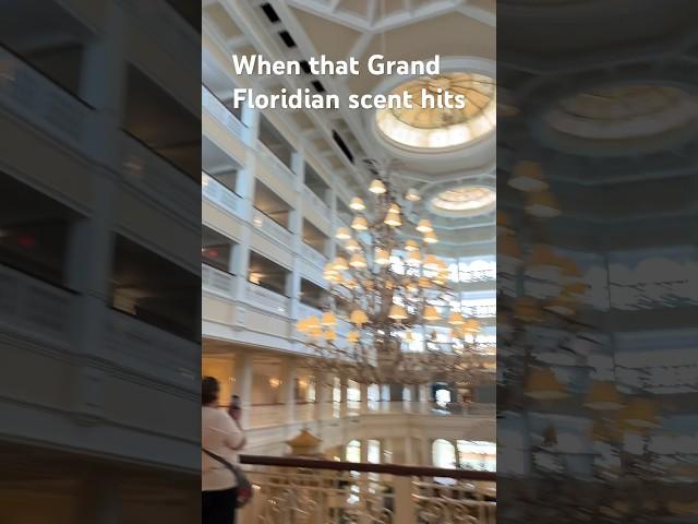 Obsessed with Disney World Grand Floridian #disney #disneyworld