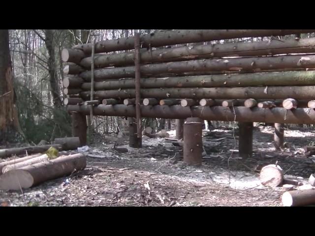 ВЫЖИВАНИЕ - ПРОВЕРКА ЗЕМЛЯНКИ и СХРОНА, ЗАСАДА на НОВЫХ лесных СОСЕДЕЙ!