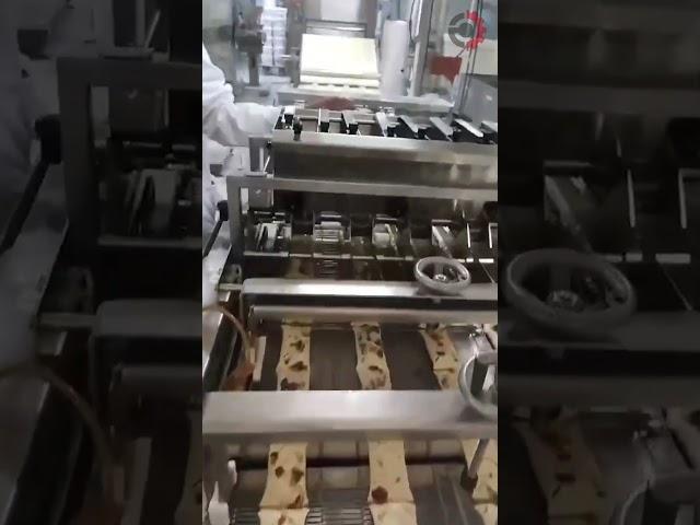 Машина подсыпания орехами, изюмом, арахисом МП МЕХАНИЗМЫ
