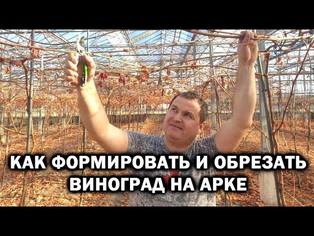 ПОШАГОВАЯ ФОРМИРОВКА И ОБРЕЗКА ВИНОГРАДА НА АРКЕ!