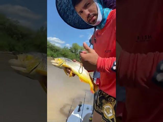 Sergio Aguero to set free a Fish️ | #short #sergioagüero #fishing