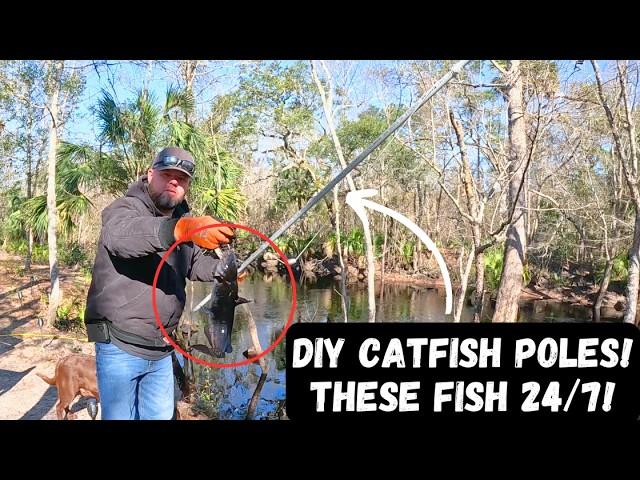 DIY Catfish Poles! Adjustable 24/7 Fishing!