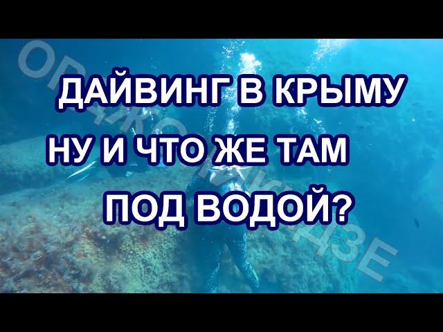 МАРШРУТ ПОГРУЖЕНИЯ "БЕЛЫЙ КАМЕНЬ" ДАЙВИНГ В КРЫМУ.