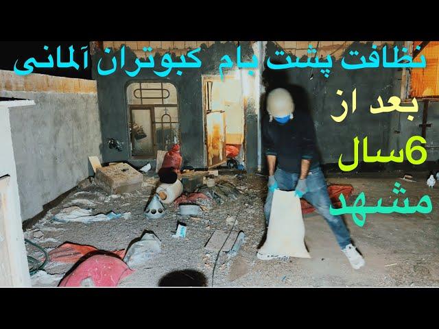 (قسمت۱۲۳)روتین شبانه خوراک دادن کبوتران آلمانی و نظافت پشت بام بعد از شش سال در مشهد/عشق بازان ایران