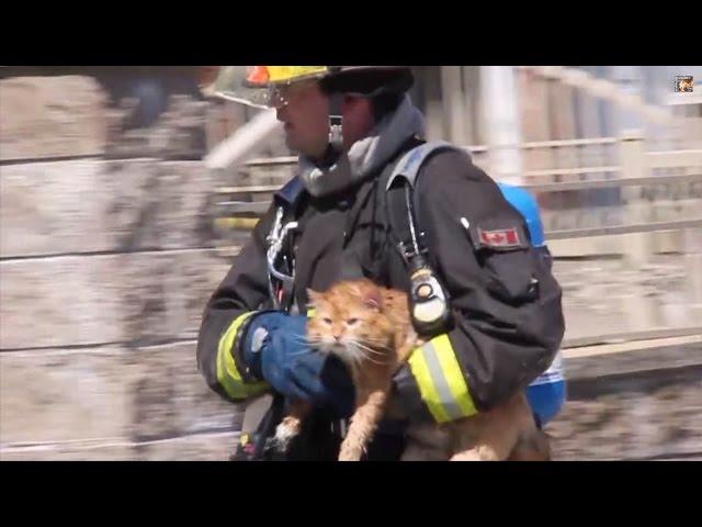 2013 Demo Reel: Best moments of Fire, Police & EMS