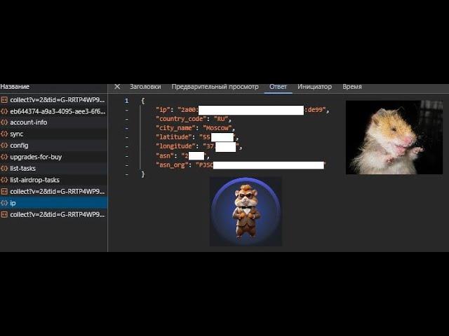 Hamster Kombat официально видит ваши IP адреса и логирует! Будьте осторожны, защититесь от этого!