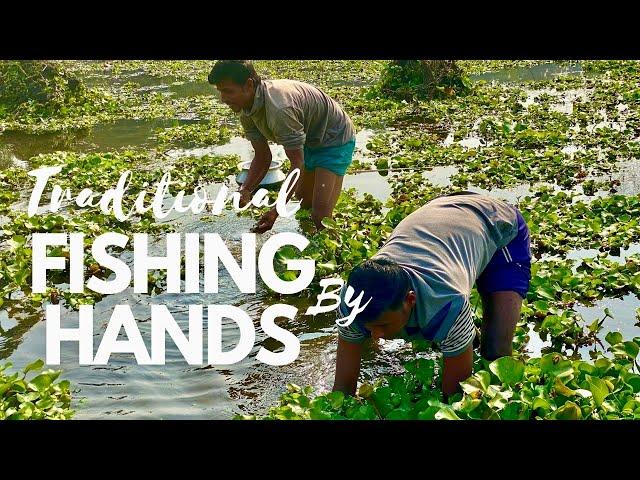 Live Fishing! Traditional Village Fishing by Hands!