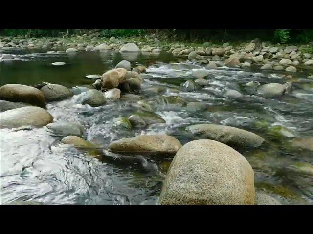 2 horas de águas calmas descendo o riacho para Relaxar,  dormir e meditar.