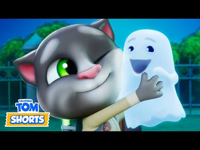 A Spooky New Friend & More  Talking Tom Shorts (S3 Episode 3)