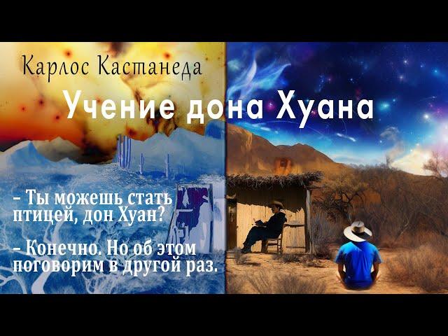 Учение дона Хуана. Путь знания индейцев яки. Карлос Кастанеда.