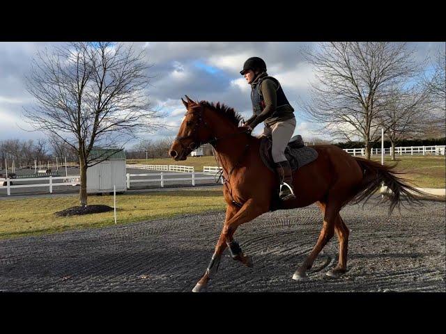 Mondeuse // Derby XC Clinic @Loch Moy 12212024