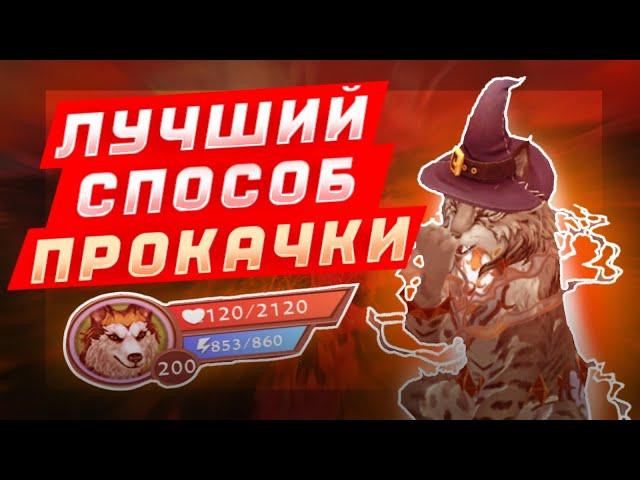 КАК БЫСТРО ПРОКАЧАТЬСЯ ДО 200 ЛВЛ | ЛУЧШИЙ СПОСОБ ПРОКАЧКИ ВАЙЛДКРАФТ | ВИЛДКРАФТ WILDCRAFT | Шилки