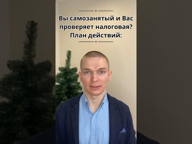 ПЛАН ДЕЙСТВИЙ ПРИ НАЛОГОВОЙ ПРОВЕРКЕ