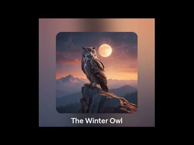 The Winter Owl