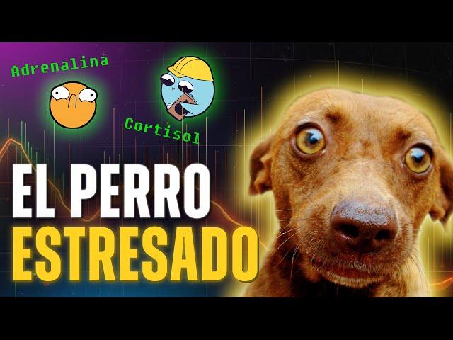 ESTRÉS EN PERROS [parte 1] #educacioncanina #perros #adiestramientocanino #comportamientocanino