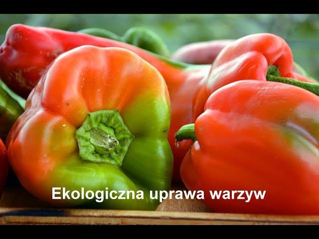 Ekologiczna uprawa warzyw