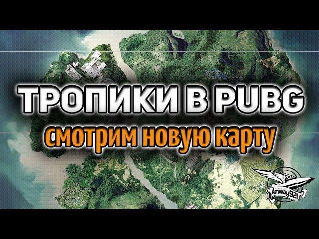 Стрим - PUBG - Новая карта Дикий Край - Играем с Шаманёнком и девчонками