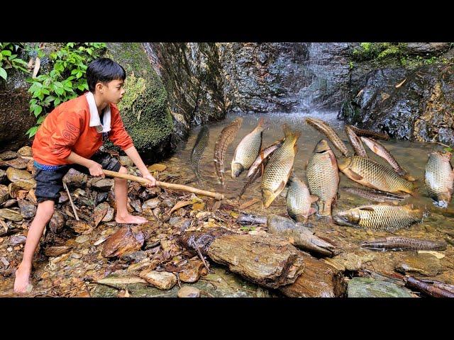 The boy drained the water on the big waterfall, caught big fish to sell.