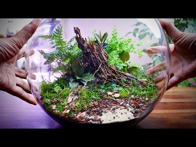 Fish Bowl Terrarium Anyone Can Build