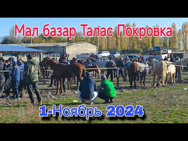 Мал базар Талас Покровка 1-Ноябрь 2024