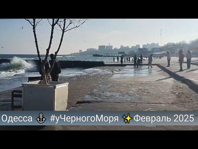 Одесса  #уЧерногоМоря Февраль 2025