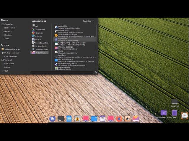 Best Linux Mint Mate Customization